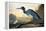 Blue Crane or Heron-John James Audubon-Framed Premier Image Canvas