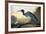 Blue Crane or Heron-John James Audubon-Framed Giclee Print