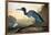 Blue Crane or Heron-John James Audubon-Framed Giclee Print