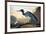 Blue Crane or Heron-John James Audubon-Framed Premium Giclee Print