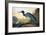 Blue Crane or Heron-John James Audubon-Framed Giclee Print