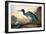 Blue Crane or Heron-John James Audubon-Framed Giclee Print