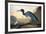 Blue Crane or Heron-John James Audubon-Framed Premium Giclee Print