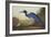 Blue Crane or Heron-John James Audubon-Framed Art Print