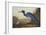 Blue Crane or Heron-John James Audubon-Framed Art Print