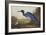 Blue Crane or Heron-John James Audubon-Framed Art Print