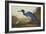 Blue Crane or Heron-John James Audubon-Framed Art Print