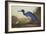 Blue Crane or Heron-John James Audubon-Framed Art Print