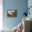 Blue Crane or Heron-John James Audubon-Framed Stretched Canvas displayed on a wall