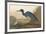 Blue Crane-John James Audubon-Framed Premium Giclee Print