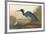 Blue Crane-John James Audubon-Framed Premium Giclee Print