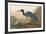 Blue Crane-John James Audubon-Framed Premium Giclee Print