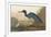 Blue Crane-John James Audubon-Framed Premium Giclee Print