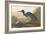 Blue Crane-James Audubon-Framed Giclee Print