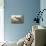 Blue Crane-James Audubon-Mounted Giclee Print displayed on a wall