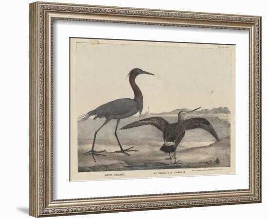 Blue Crane-Mannevillette Elihu Dearing Brown-Framed Giclee Print