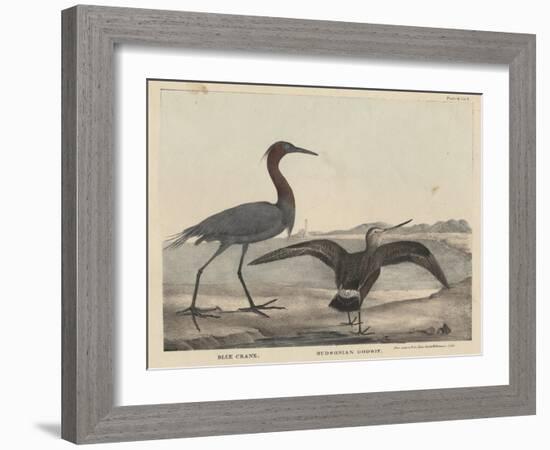 Blue Crane-Mannevillette Elihu Dearing Brown-Framed Giclee Print