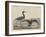 Blue Crane-Mannevillette Elihu Dearing Brown-Framed Giclee Print