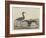 Blue Crane-Mannevillette Elihu Dearing Brown-Framed Giclee Print