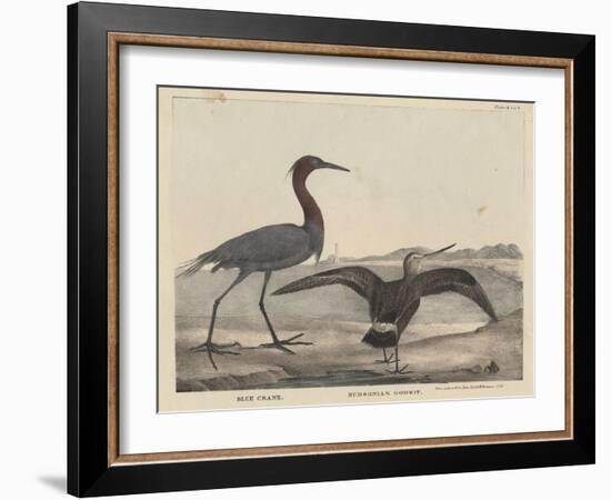 Blue Crane-Mannevillette Elihu Dearing Brown-Framed Giclee Print