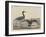 Blue Crane-Mannevillette Elihu Dearing Brown-Framed Giclee Print