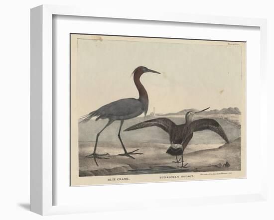 Blue Crane-Mannevillette Elihu Dearing Brown-Framed Giclee Print