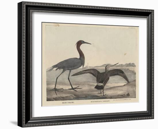 Blue Crane-Mannevillette Elihu Dearing Brown-Framed Giclee Print