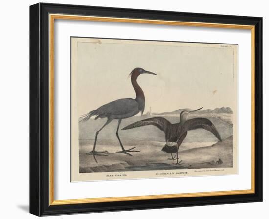 Blue Crane-Mannevillette Elihu Dearing Brown-Framed Giclee Print