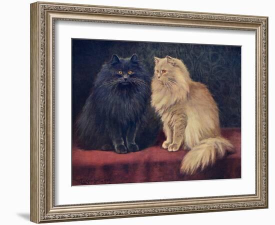 Blue, Cream Persian Cats-W. Luker-Framed Art Print