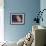 Blue, Cream Persian Cats-W. Luker-Framed Art Print displayed on a wall