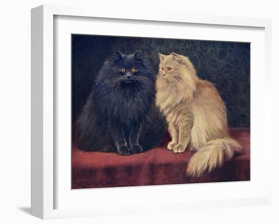 Blue, Cream Persian Cats-W. Luker-Framed Art Print