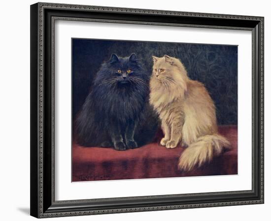 Blue, Cream Persian Cats-W. Luker-Framed Art Print