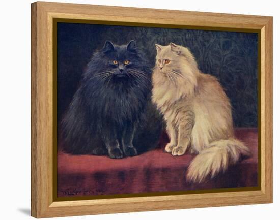 Blue, Cream Persian Cats-W. Luker-Framed Stretched Canvas