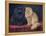 Blue, Cream Persian Cats-W. Luker-Framed Stretched Canvas