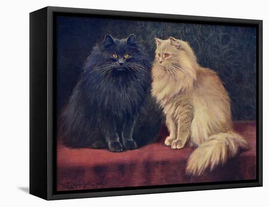 Blue, Cream Persian Cats-W. Luker-Framed Stretched Canvas