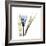 Blue Crocus-Albert Koetsier-Framed Premium Giclee Print