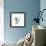 Blue Crocus-Albert Koetsier-Framed Premium Giclee Print displayed on a wall