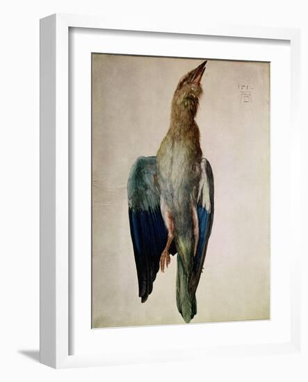 Blue Crow, 1512-Albrecht Dürer-Framed Giclee Print