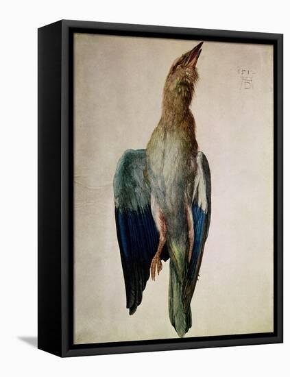 Blue Crow, 1512-Albrecht Dürer-Framed Premier Image Canvas