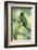 Blue-Crowned Motmot, Trinidad Motmot-Ken Archer-Framed Photographic Print