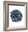 Blue Dahlia-Kiana Mosley-Framed Art Print