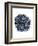 Blue Dahlia-Kiana Mosley-Framed Art Print