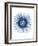 Blue Daisy-Cathe Hendrick-Framed Art Print