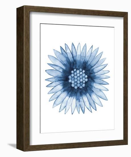 Blue Daisy-Cathe Hendrick-Framed Art Print