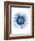 Blue Daisy-Cathe Hendrick-Framed Art Print