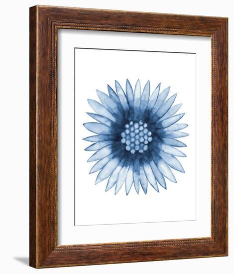 Blue Daisy-Cathe Hendrick-Framed Art Print