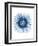 Blue Daisy-Cathe Hendrick-Framed Art Print