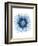 Blue Daisy-Cathe Hendrick-Framed Art Print