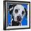 Blue Dalmation-R Berghaus-Framed Art Print