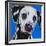 Blue Dalmation-R Berghaus-Framed Art Print